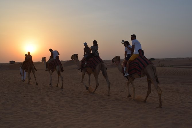 Private Desert Safari Red Dune with BBQ, Sand Boarding and Camel Ride - Price and value: what $400 per person buys you