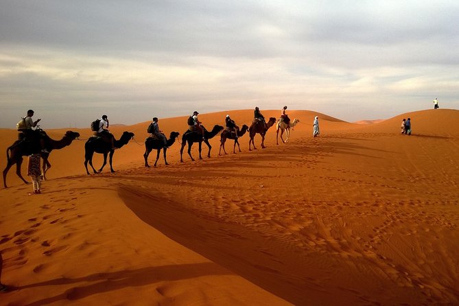 Private Evening Desert Safari with BBQ dinner - Key points to know before you go