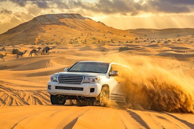 Private Evening Desert Safari with BBQ Dinner Dubai - Price and value: what $412 for up to 6 really buys