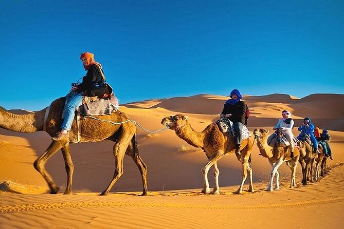 Private Evening Desert Safari with BBQ Dinner Dubai - Who this private evening safari is best for