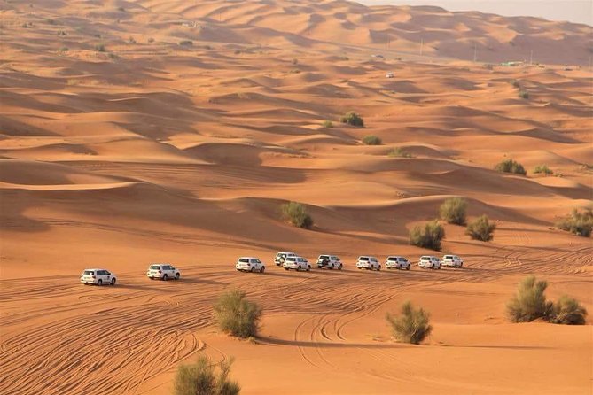 Private Evening Thriller Desert Safari & BBQ Dinner - Sandboarding plus camel ride, henna, and sheesha at desert pace
