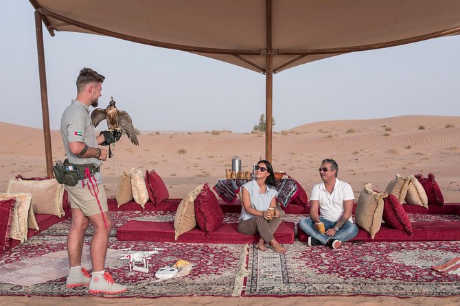 Private Falconry Experience and Nature Desert Safari in Dubai - The falconry demonstration: what you’ll actually do and learn