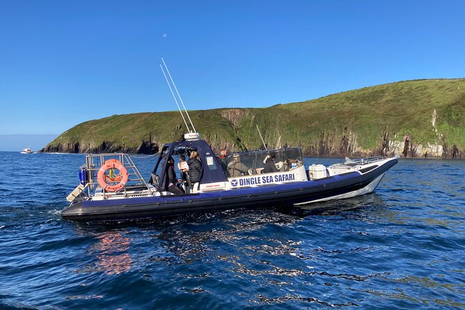 Private family sea safari - A private Dingle Sea Safari that actually feels personal