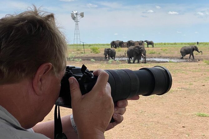 Private Full Day Safari (10 hours) in Kruger National Park - Price and logistics: what $172.25 really includes