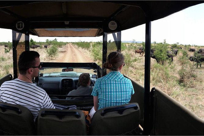 Private Full Day Safari l Kruger National Park from Hazyview or Skukuza - Early Start, Real Wildlife Time in Kruger