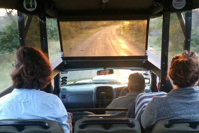 Private Full Day Safari l Kruger National Park from Hazyview or Skukuza - The Parks Shop Stop: Comfort Break and Meal Time