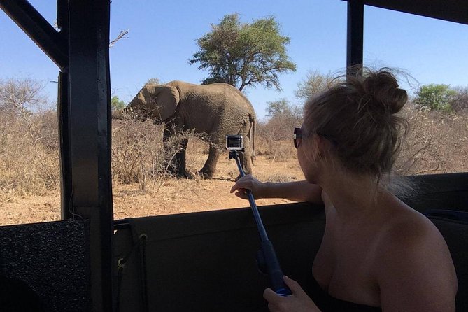 Private Full Day Safari l Kruger National Park from Hazyview or Skukuza - Big Five Focus: How You Think About Sightings in Kruger