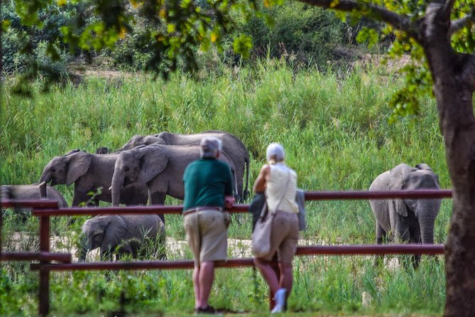 Private Full Day Safari l Kruger National Park from Hazyview or Skukuza - What’s Included vs. What You’ll Need to Budget For
