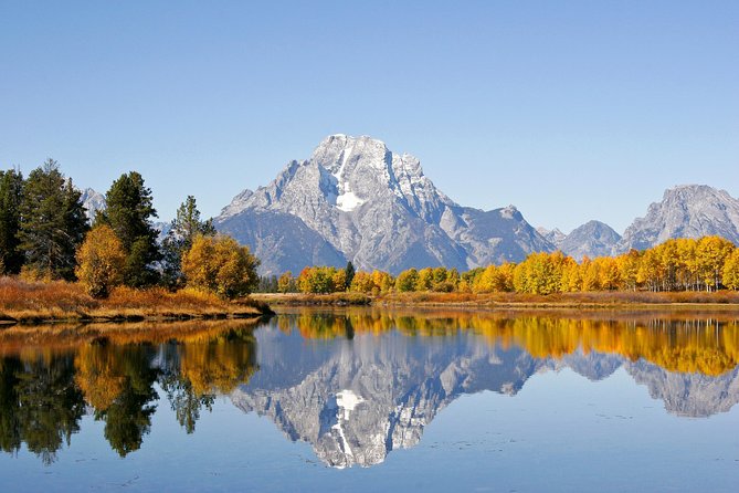 Private Grand Teton Wildlife Safari Tour - Hotel pickup in Jackson and Teton Village: less hassle, more viewing time