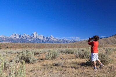 Private Grand Teton Wildlife Safari Tour - Scopes, binoculars, and the art of spotting animals the safe way