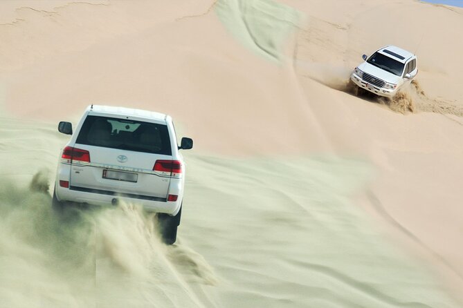 Private Half Day Desert Safari with Camel Ride - Sealine Beach Break: A Short Pause With Optional Extras