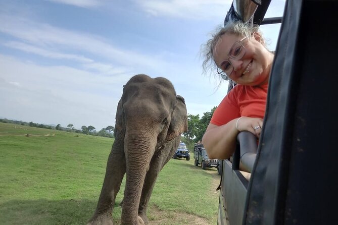 Private Jeep Safari at Minneriya National Park to Visit Elephants - Who This Tour Fits Best (and Who Might Want Another Option)