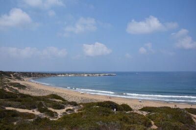 Private Jeep Safari Bath of Aphrodite including Adonis Waterfalls - Lara Bay Turtle Conservation Station: A brief stop that matters