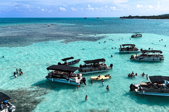 Private Marine Tour: Discover the 7 Colors of the San Andreas Sea - Key highlights to expect
