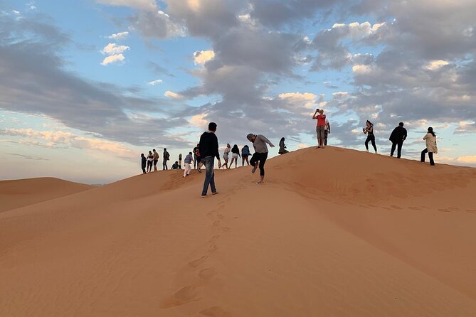Private Morning Desert Safari with Camel Ride & Sandboarding - Sandboarding and sunrise/sunset: how to get the best results