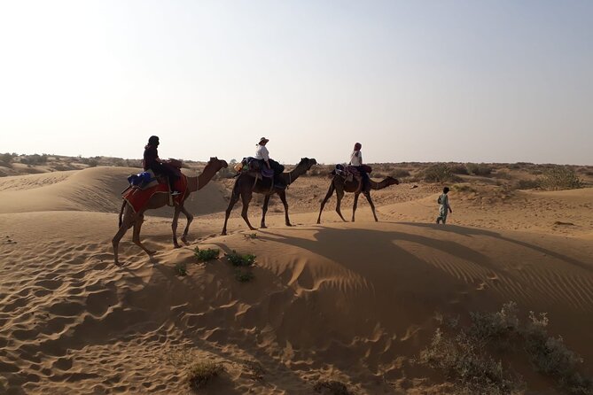 Private Overnight Safari Tour with Camel Ride - Key things to know before you go