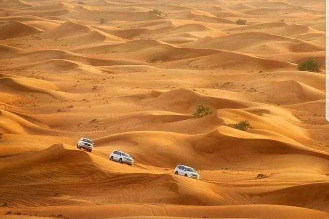 Private Red Dunes Desert Safari Dubai - Timing: why a 2:30 pm start matters on the red dunes