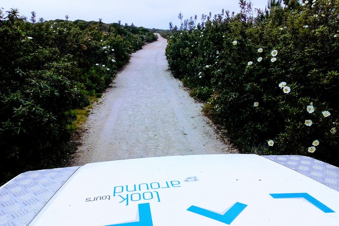 Private Safari Tour to Espichel Cape & West Coast Wild Beaches - Arrábida hike to Hell Beach: what to expect on the ground