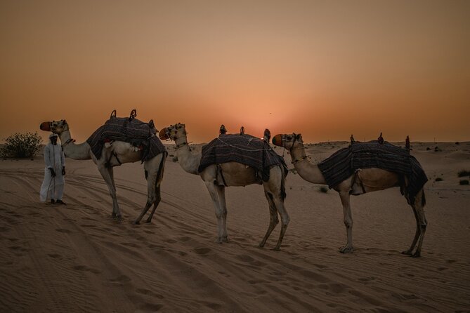 Private Sunset Desert Safari:SandSurfing, Camel Ride & BBQ dinner - Key highlights that make this safari worth your time