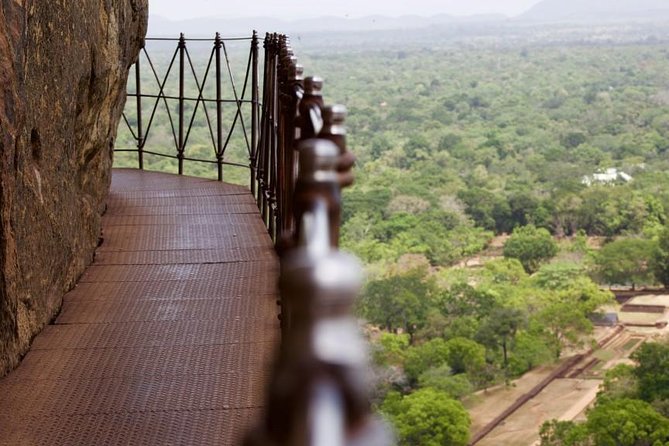 Private Trip to Sigiriya, Dambulla & safari from Colombo/ Negombo - Key things that make this trip worth your attention