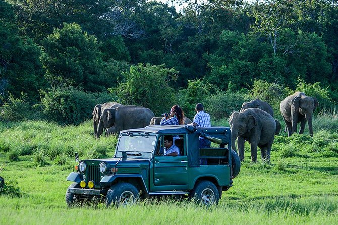 Private Trip to Sigiriya, Dambulla & safari from Colombo/ Negombo - Price and what you’ll likely pay on top of the $67