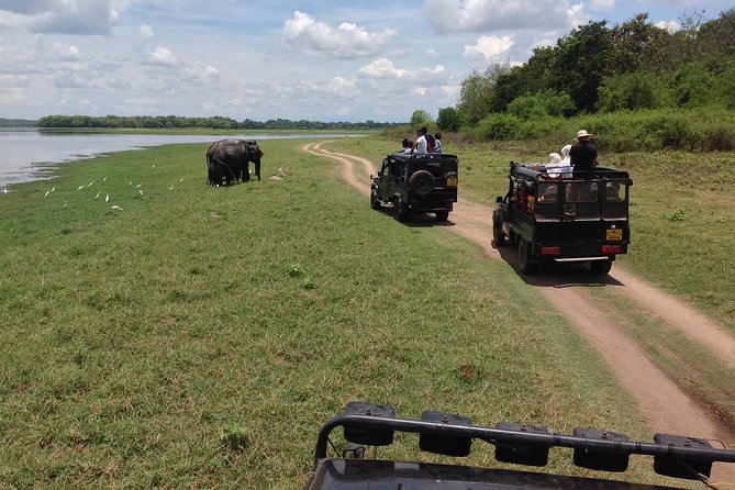 Private Trip to Sigiriya, Dambulla & safari from Colombo/ Negombo - Comfort, timing, and expectations for a 7:30am start