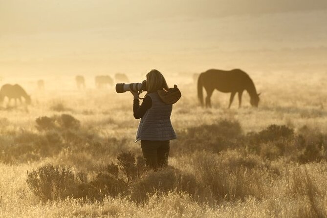 Private Wild Horse Photo Safari from Tooele - Key Points You’ll Actually Care About