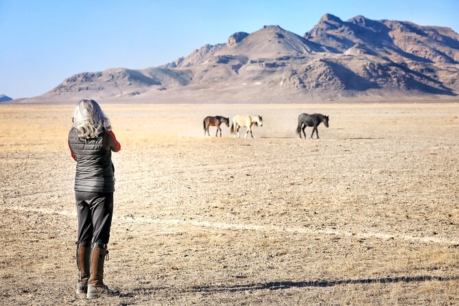 Private Wild Horse Photo Safari from Tooele - Tooele’s Onaqui Photo Safari: What You’re Really Buying