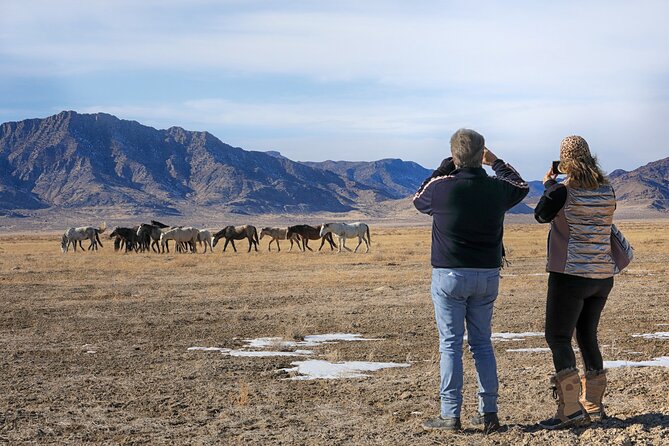 Private Wild Horse Photo Safari from Tooele - What’s Included (and What Isn’t) for a Smooth Day