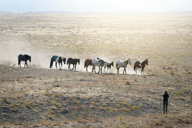 Private Wild Horse Photo Safari from Tooele - From Pony Express Trail to Skull Valley: The Morning Setup