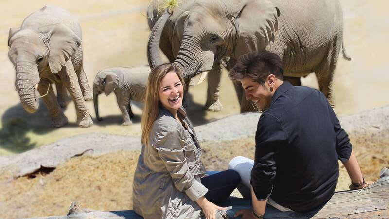 Puebla Africam Safari Park, Live an Unforgettable Adventure! - Getting to Africam Safari Puebla from the Zócalo