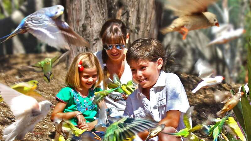 Puebla Africam Safari Park, Live an Unforgettable Adventure! - Practical Stuff That Makes the Day Easier