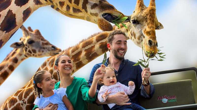 Puebla Africam Safari Park, Live an Unforgettable Adventure! - Timing Expectations: What the Day Feels Like