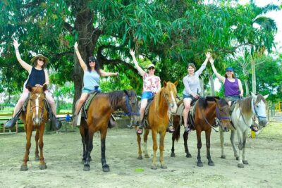 Punta Cana Half-Day Cultural Safari with Lunch and Drinks - Pickup, Timing, and the Half-Day Reality Check