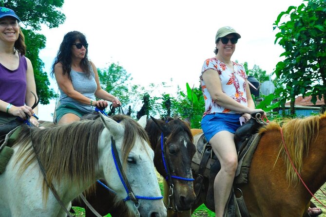 Punta Cana Half-Day Cultural Safari with Lunch and Drinks - Drinks, Rum, and What to Plan For