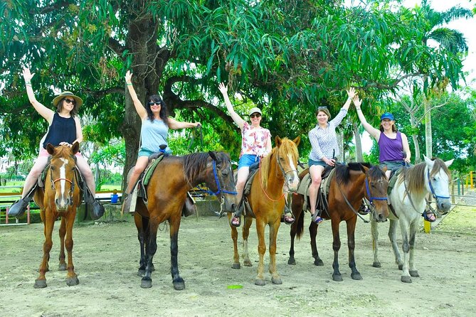 Punta Cana Half-Day Cultural Safari with Lunch and Drinks - Pickup, Timing, and the Half-Day Reality Check