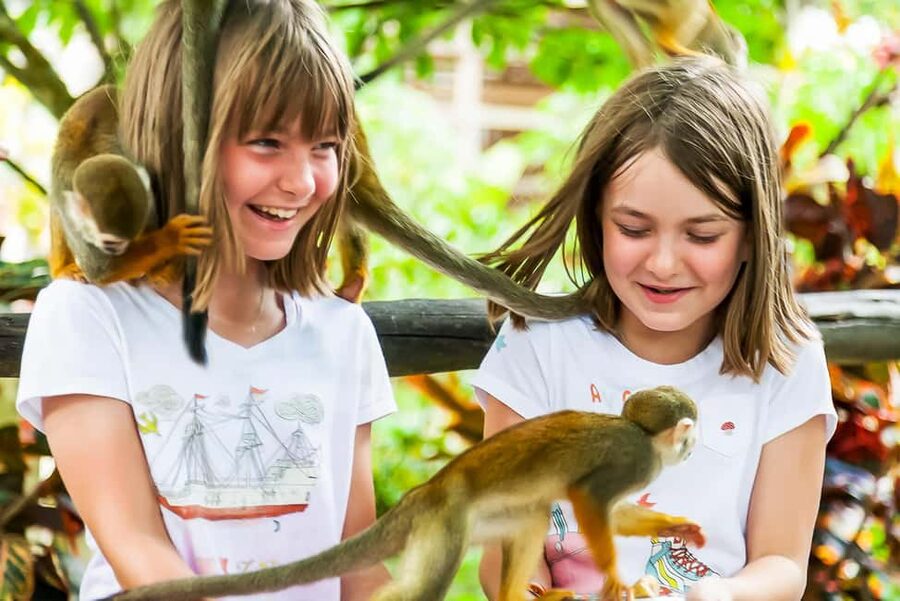 Punta Cana: Monkey Land Half-Day Safari and Plantation - Why This Half-Day Safari Feels Like Two Trips in One