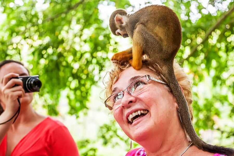 Punta Cana: Monkey Land Half-Day Safari and Plantation - Monkeyland Squirrel Monkeys: What Close Interaction Really Means