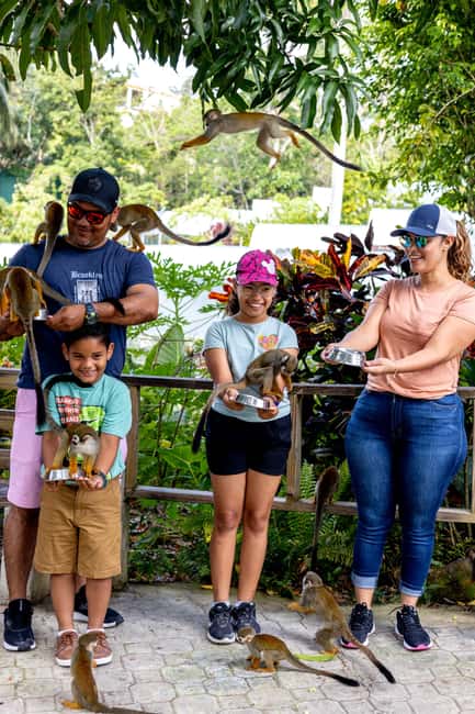 Punta Cana: Monkey Land Half-Day Safari and Plantation - Photo Packages and Souvenirs: Spend Smart Without Getting Pushed