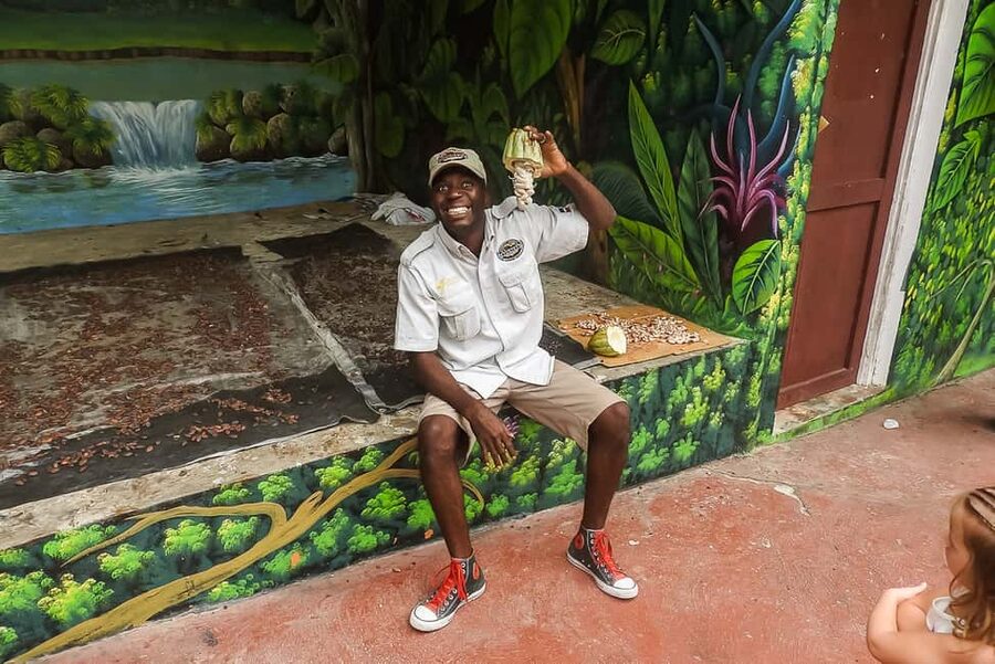 Punta Cana: Monkey Land Half-Day Safari and Plantation - Who This Tour Fits Best (And Who It Doesn’t)