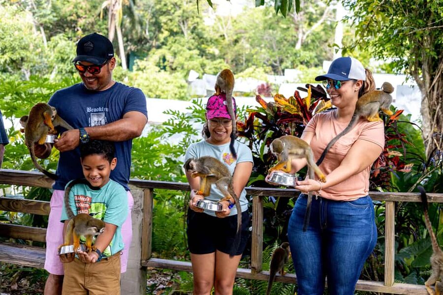Punta Cana: Monkey Land Half-Day Safari and Plantation - Pickup and the Ride: How to Make the Road Part Work for You