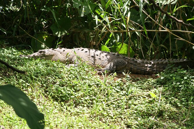 Pure Nature Safari River Float - Live Captain-Naturalist Commentary: The Difference Maker