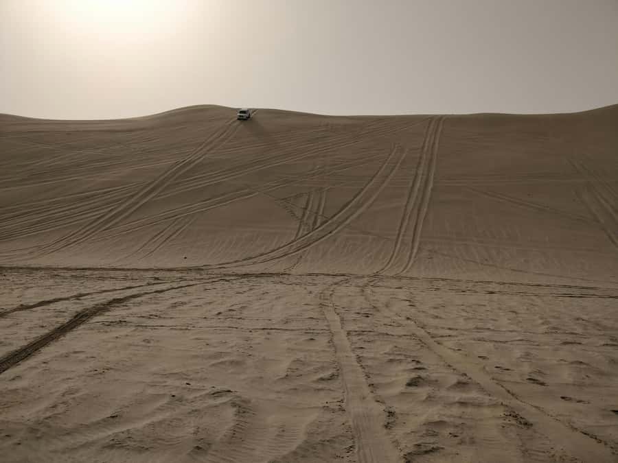 Qatar: Desert Safari, Camel Ride, Inland sea, Sandboarding - Optional Quad Biking: Extra Adrenaline With Real Responsibility