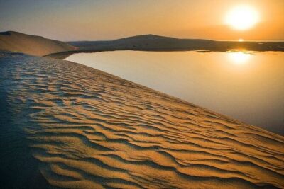 Qatar Desert Safari, Dune Bashing (Private Safari Tour) - Dune Bashing for About 2.5 Hours: The Real Adrenaline