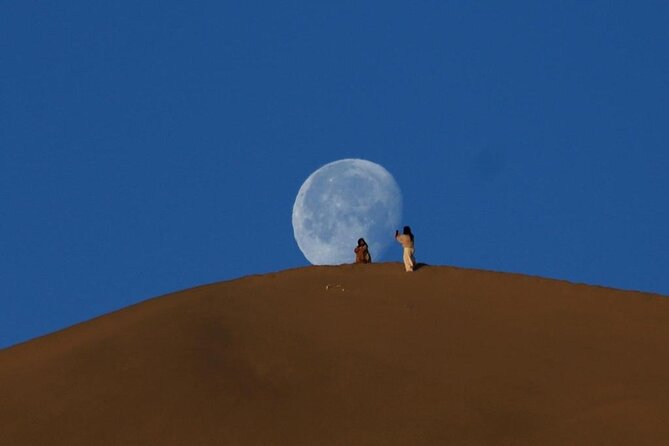 Qatar Desert Safari, Dune Bashing (Private Safari Tour) - Singing Sand Dunes and Quad Bike/buggy Time