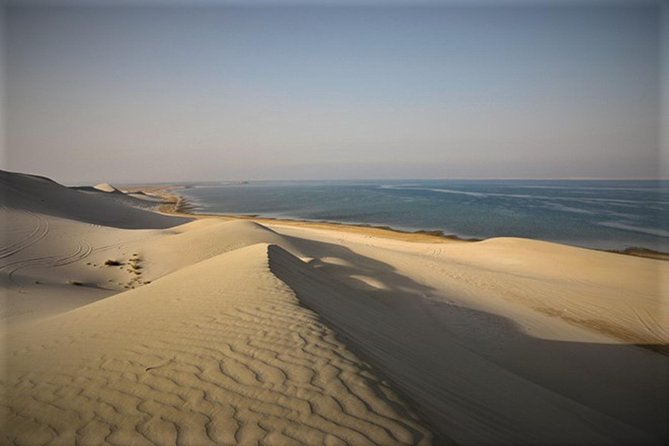 Qatar Gold Dune Safari, Dune Bashing,Camel Ride,Sand Boarding,Inland Sea Desert - Sandboarding on Golden Dunes: How to Dress and What to Expect