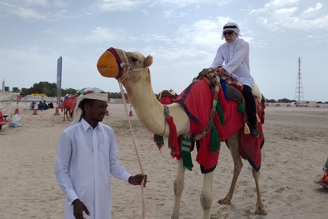 Qatar Gold Dune Safari, Dune Bashing,Camel Ride,Sand Boarding,Inland Sea Desert - Khor al Udaid Inland Sea Stop: Where the Horizon Gets Interesting