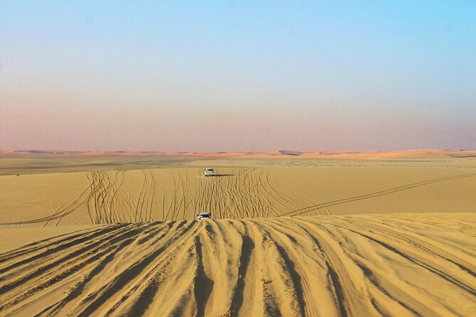 Qatar Gold Dune Safari, Dune Bashing,Camel Ride,Sand Boarding,Inland Sea Desert - Value at About $44.59: What You’re Really Paying For