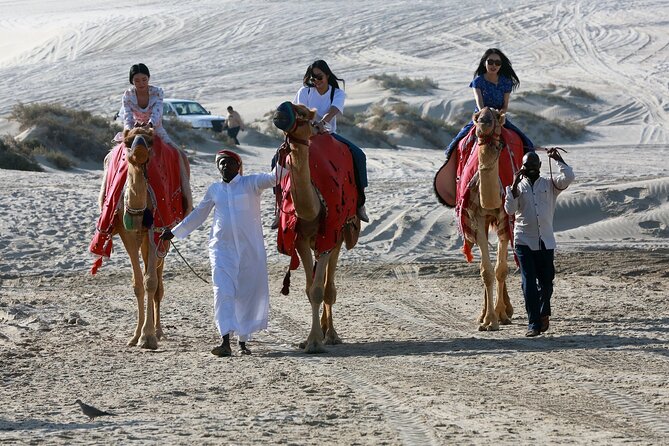 Qatar Half Day Desert Safari(Camel Rides & Sandboarding) - Inland Sea Views and Photo Stops: Why This Isn’t Just a Drive