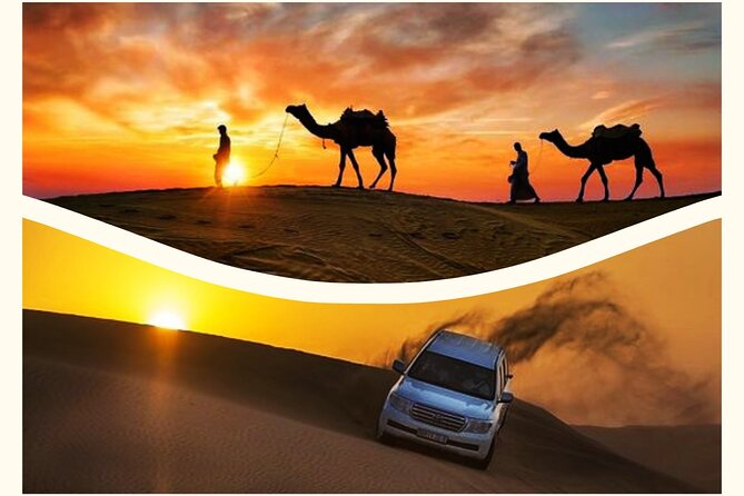 Qatar Sunset Desert Safari: Dune Bashing & Golden Sands Adventure - Quick Reasons This Safari Works